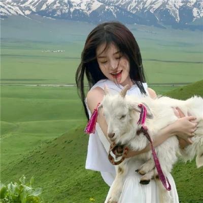 罗斯托夫的野兽